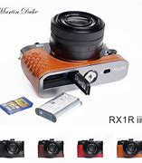 Результаты поиска изображений по запросу "Sony RX1R II Case"