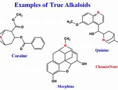 Image result for alcaloid4