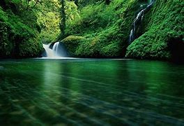 Image result for 1600 X 900 Wallpaper Nature