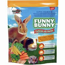 Image result for Funny Bunny Racao