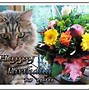 Image result for Happy Birthday Friend Cat