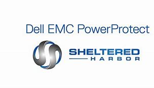 Image result for Dell PowerProtect Logo