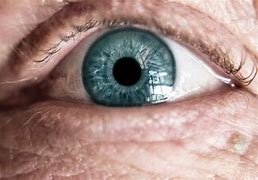 Image result for Human Eye Photography