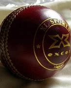 Image result for New Cricket Ball