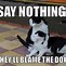 Image result for Crazy Cat Meme