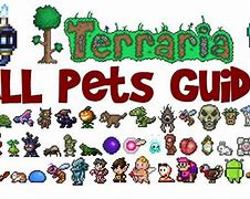 Image result for Terraria Estee Pet