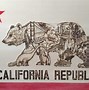 Image result for What Is the State Flag for California