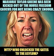 Image result for House Freedom Caucus Stickers