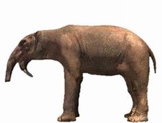 Image result for World's Biggest Elephant