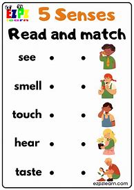 Image result for Five Sences Worksheet Kindergarten