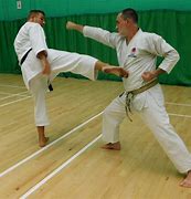 Image result for Different Types of Karate Kicks