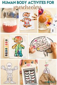 Image result for Preschool Body Theme