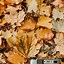 Image result for Aesthetic Fall Wallpaper iPad