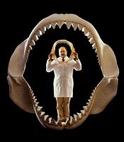 Image result for Big Shark Jawbone