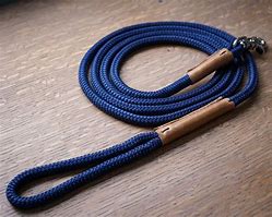 Image result for Unique Dog Leashes