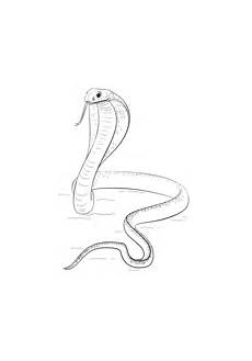 ausmalbilder reptilien malvorlagen ausmalbilder reptilien malvorlagen kostenlos zum ausdrucken ausmalbilder reptilien malvorlagen ausmalbilder reptilien malvorlagen kostenlos zum ausdrucken
