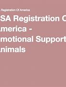 Image result for Going to Register a Goose as My Emotional Support Animal Meme