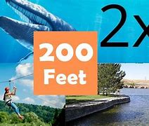 Image result for How Big Is 200 FT