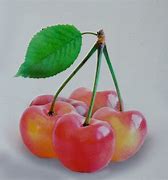Image result for Prunus avium Bigarreau Gaucher