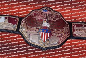 Image result for Premier Wrestling Belts