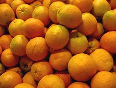 Image result for Orange Variety