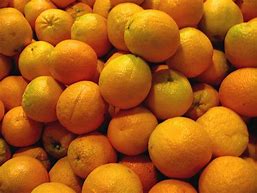 Image result for Common Oranges