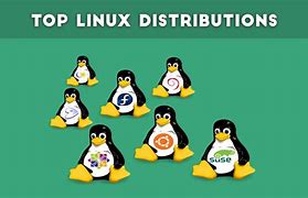 Image result for Most Popular Linux Distro Chart