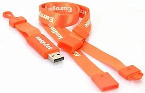 Image result for Best USB Flash Drive Neck Strap