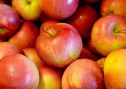 Image result for Small Apple Types
