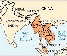 Image result for Indochinese