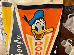 Image result for Disney World Beach Towel