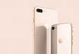 Image result for iPhone 8 Max Screen Size