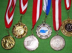 Image result for German Volksmarch Medals