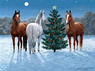 Image result for Merry Christmas Beautiful Horses