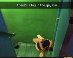 Image result for Bee Movie Memes