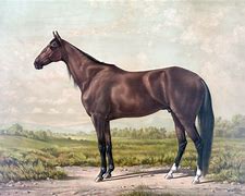Image result for Horse Racing Painting