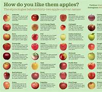 Image result for Different Types of Red Apple's
