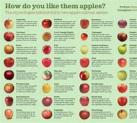 Image result for Different Apples Names
