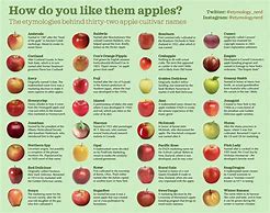 Image result for Favorite Apple Varieties