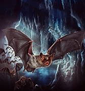 Image result for Bat Artork