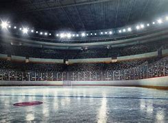 Image result for Ice Hockey Field Eagle Eye