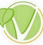 Image result for Vegan Symbol