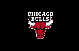 Image result for Awesome Chicago Bulls Logos