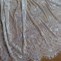 Image result for Chantilly Lace Fabric by the Yard