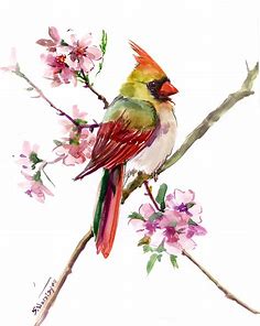 Bird Artwork Female Cardinal Bird Art Original one of a kind | Etsy | Bird art, Cardinal birds art, Watercolor bird