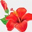 Image result for Teal Hibiscus Flower Clip Art