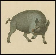 Image result for Boar Animoji