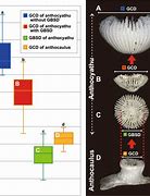 Image result for Gbsd Scale