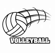 Image result for Volleyball Shoes