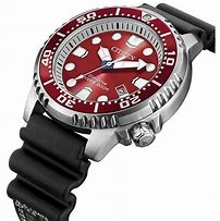 Image result for Citizen Eco-Drive Divers Watches